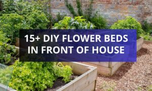 15+ DIY Flower Beds in Front of House to Transform Your Curb Appeal