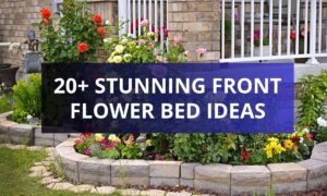 20 Stunning Front Flower Bed Ideas to Enhance Your Curb Appeal