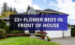 22+ Flower Beds in Front of House to Brighten Your Curb Appeal